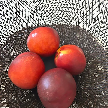 Namaste Διαμέρισμα Rhodes City