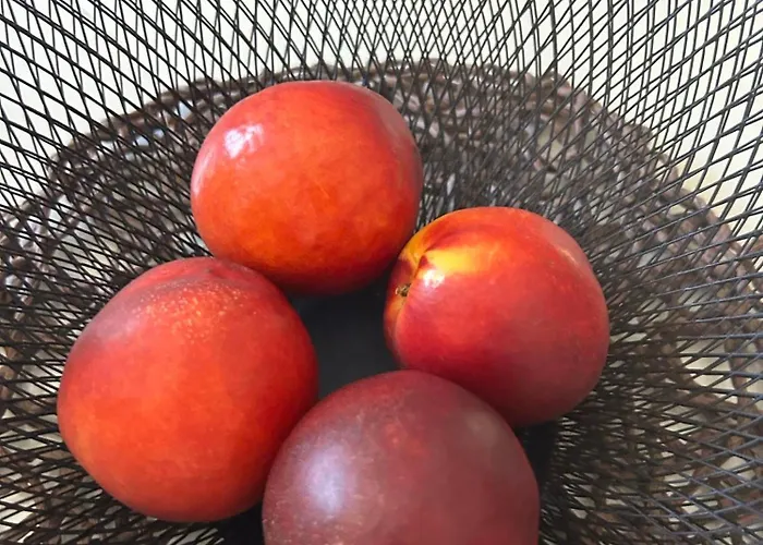 Namaste شقة Rhodes City